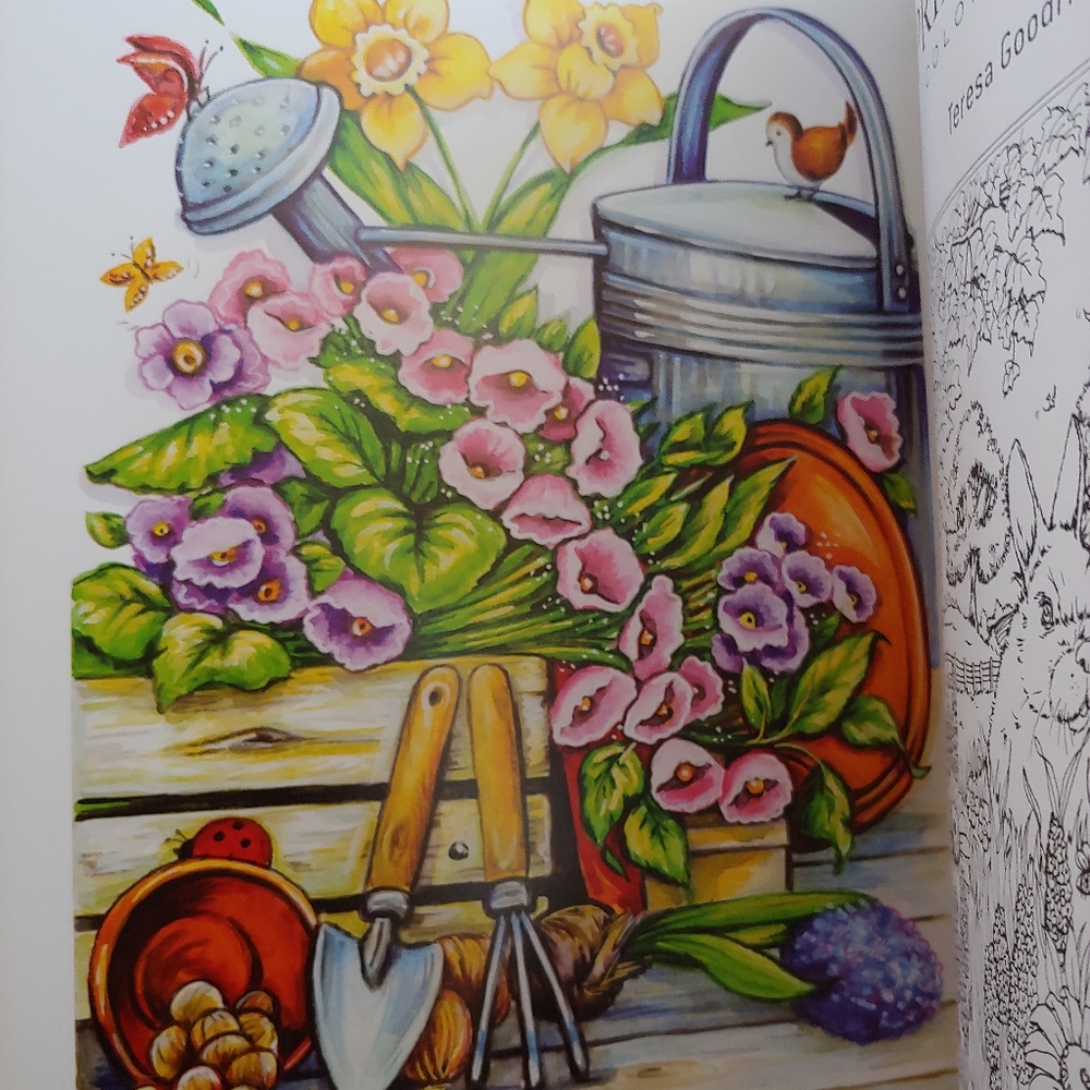 Creative Haven "Spring Scenes" Color Book - Picture 3 of 12